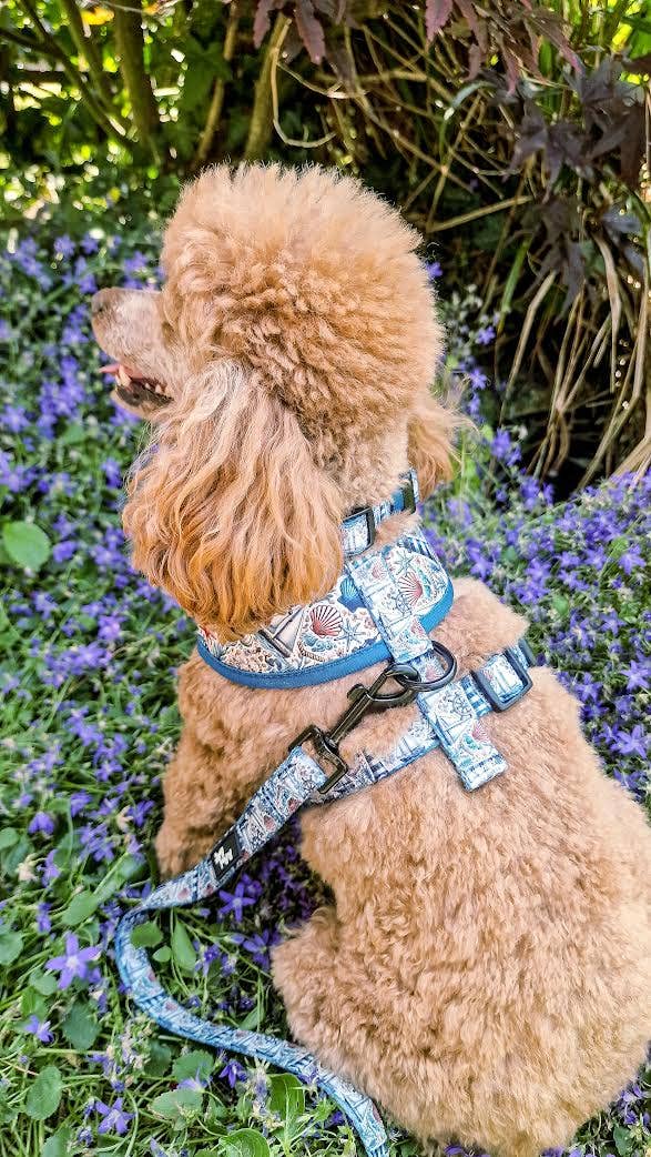 Shipwrecked Nautical Puppy Dog Harness