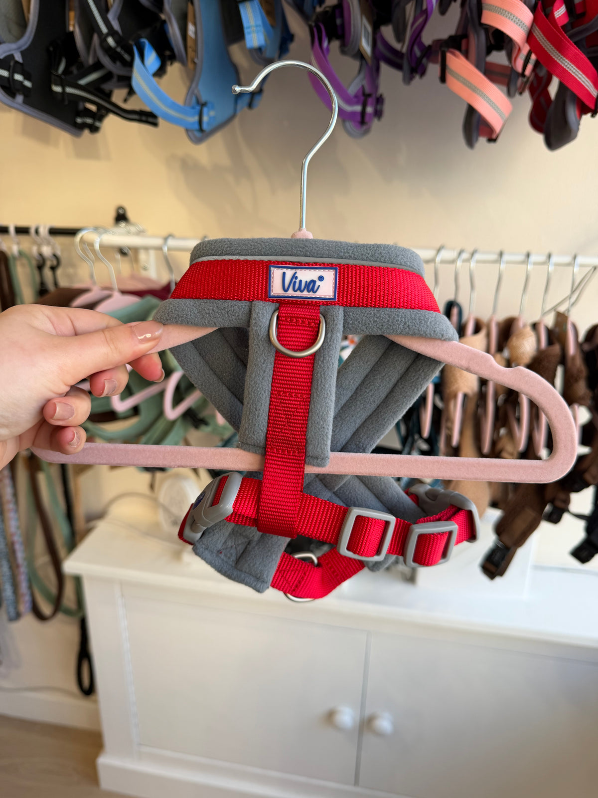 Padded Harness
