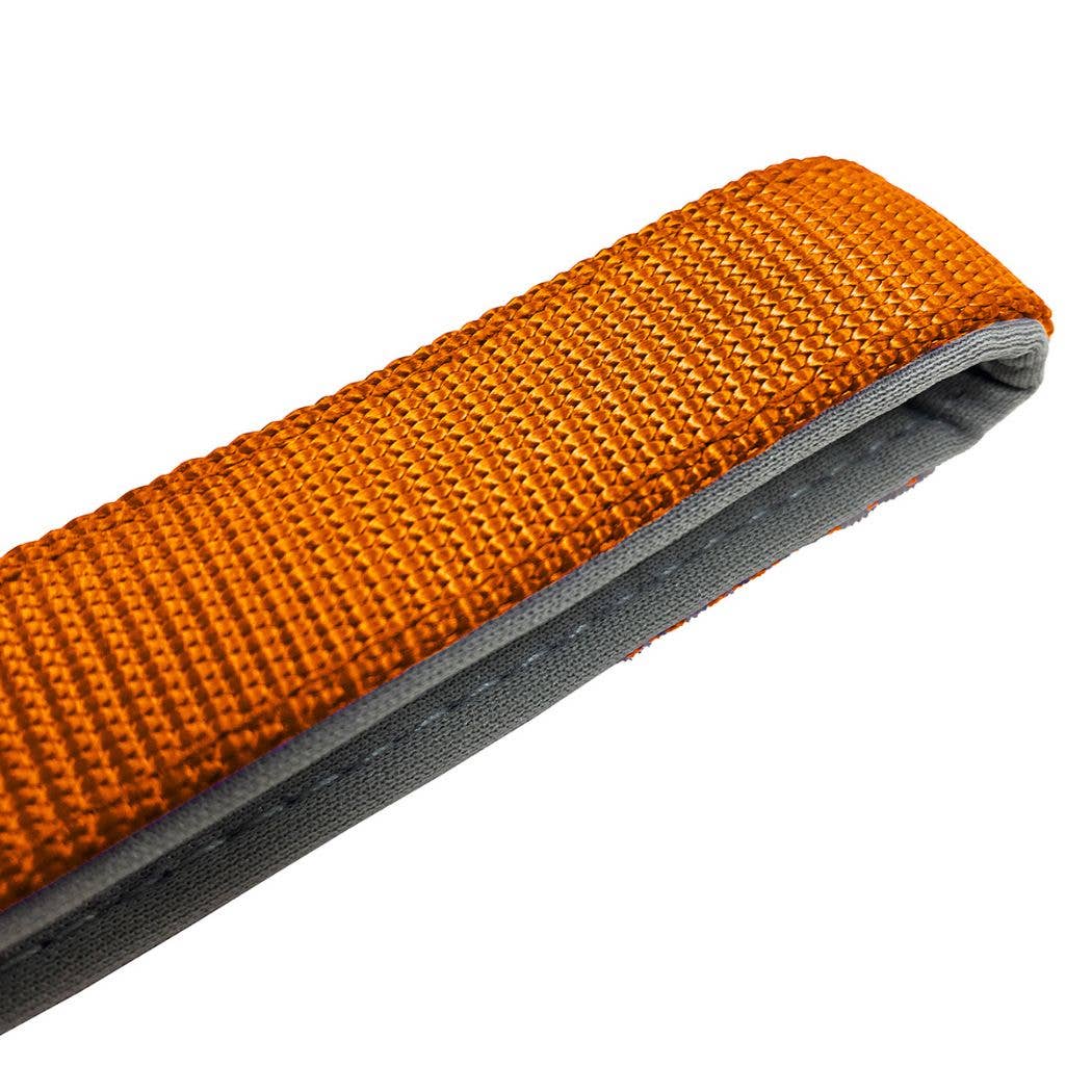 HugglePets Padded Nylon Dog Lead