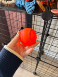 Basketball Squeaky Ball