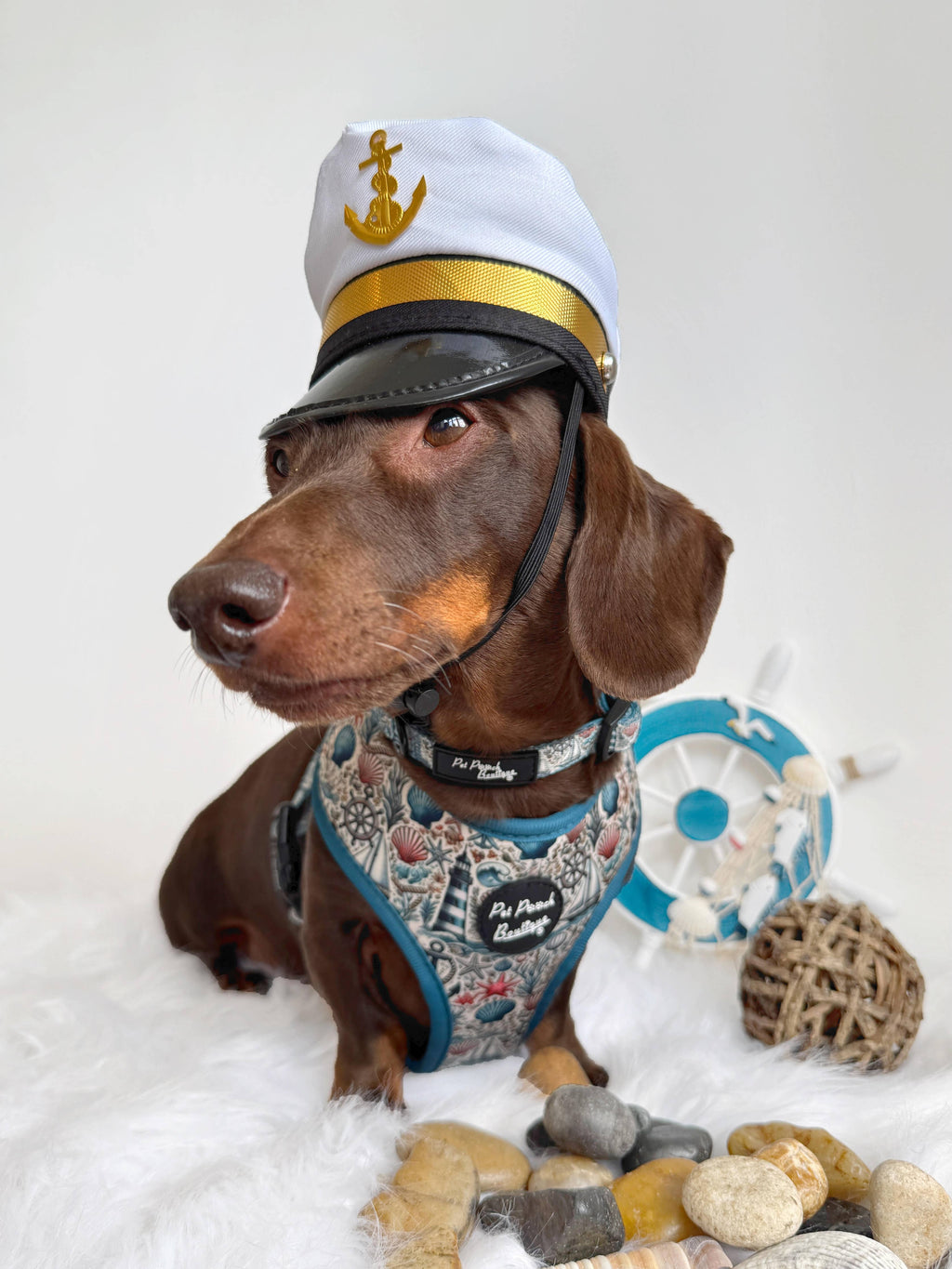 Shipwrecked Nautical Puppy Dog Harness