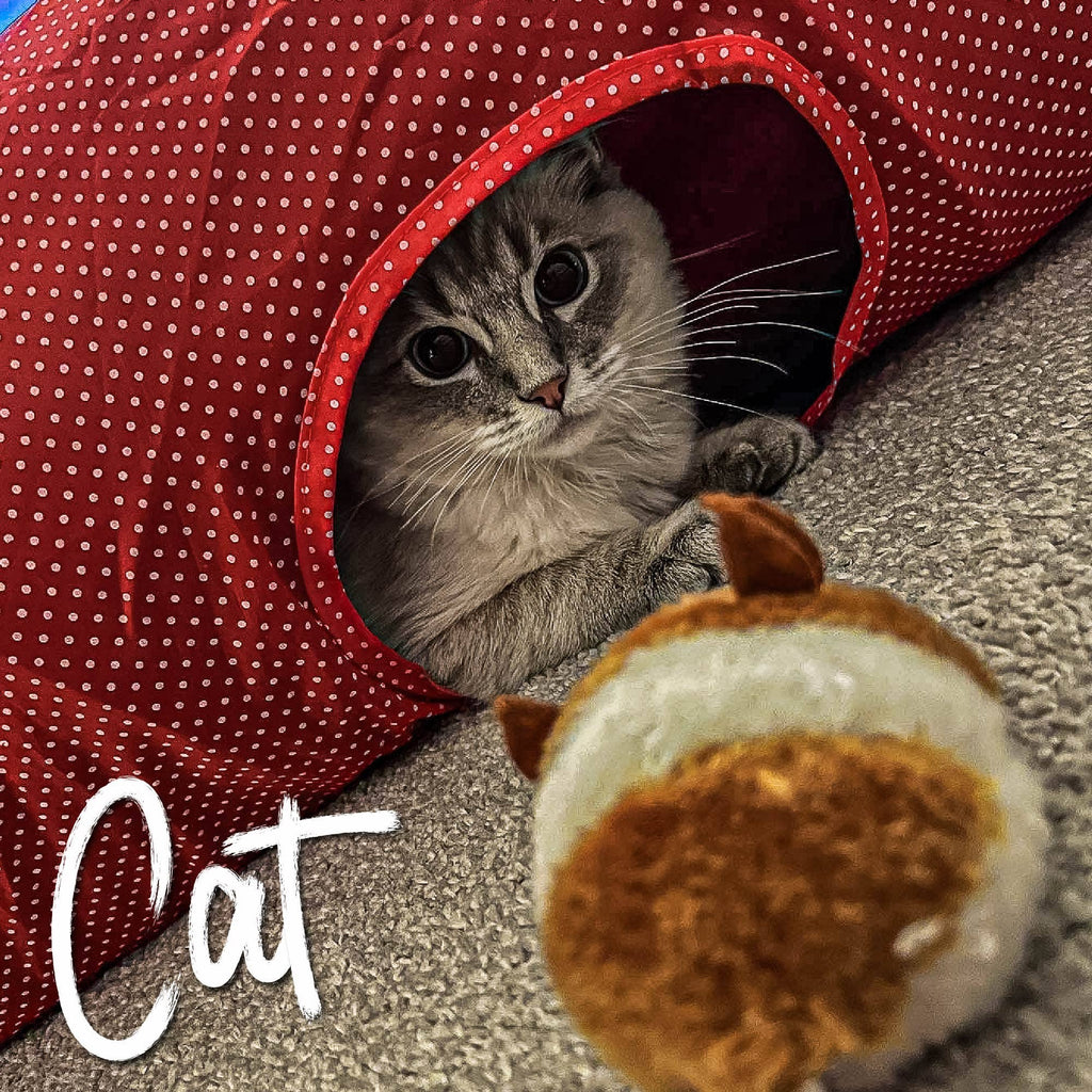 Jittery Mouse Cat Toy