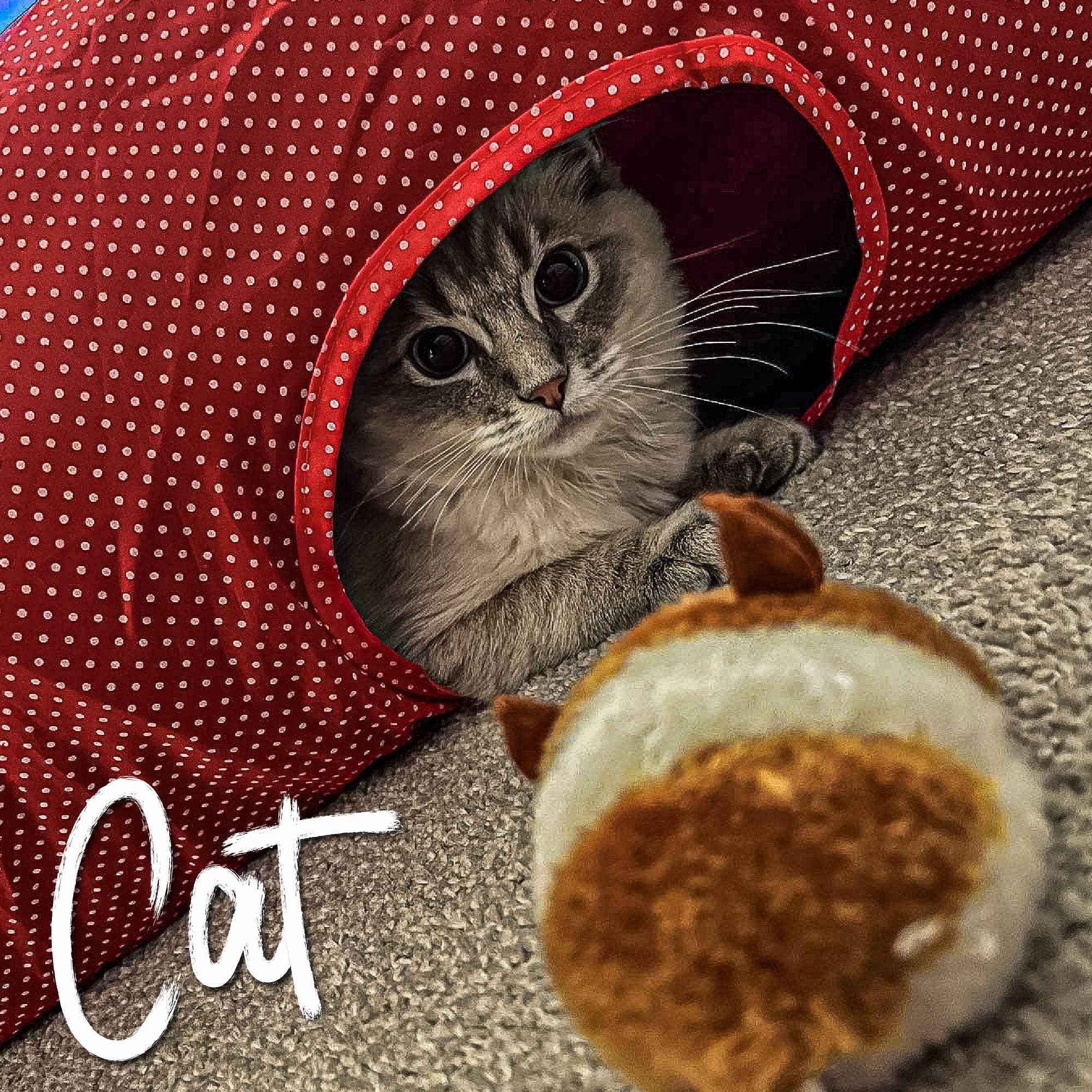 Jittery Mouse Cat Toy