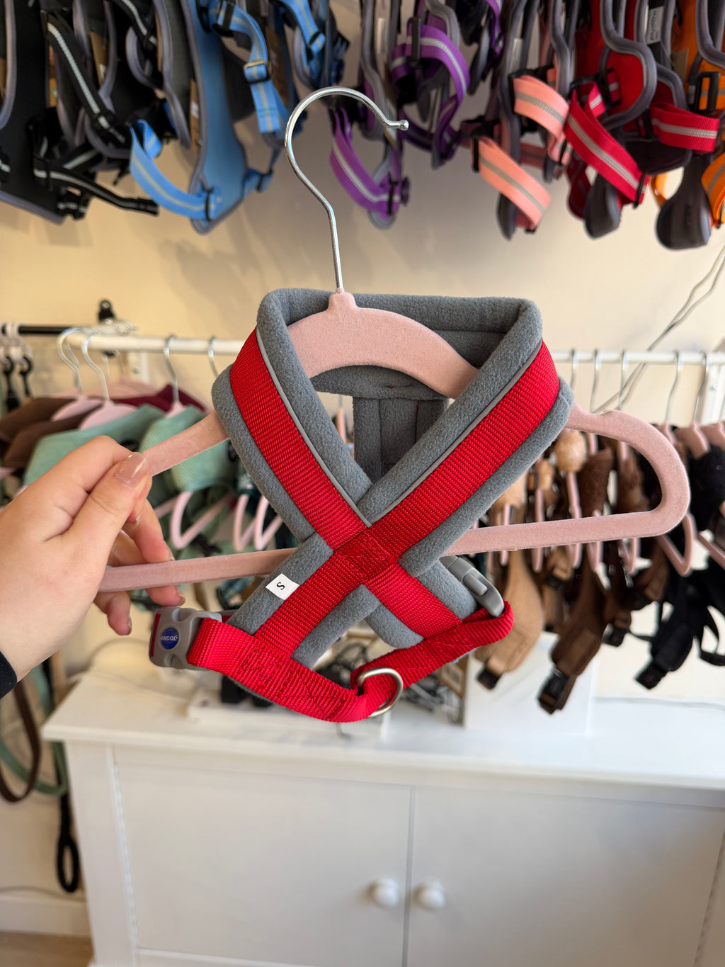 Padded Harness