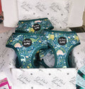 Dino Rawr Dinosaur Dog Puppy Harness