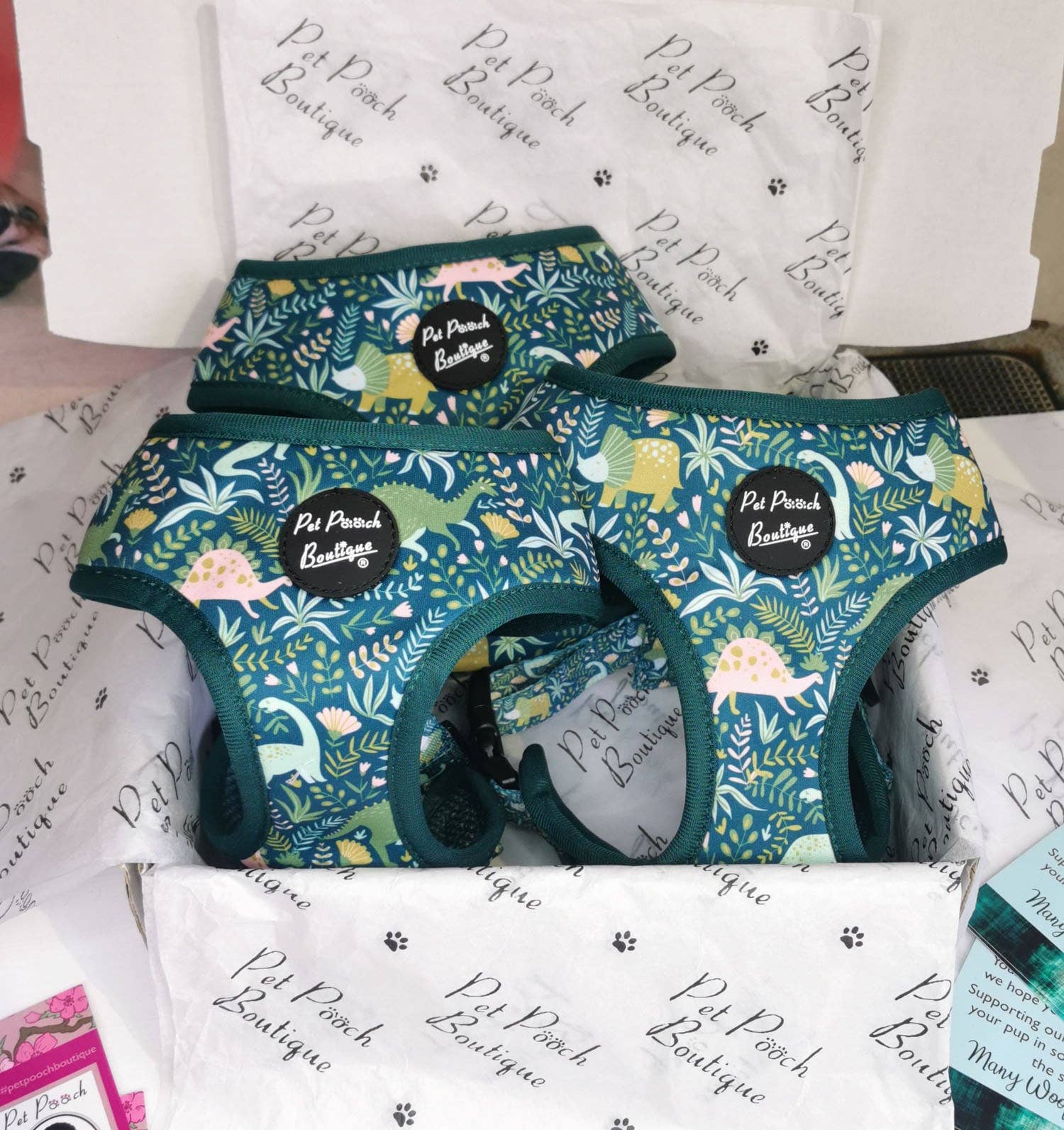 Dino Rawr Dinosaur Dog Puppy Harness