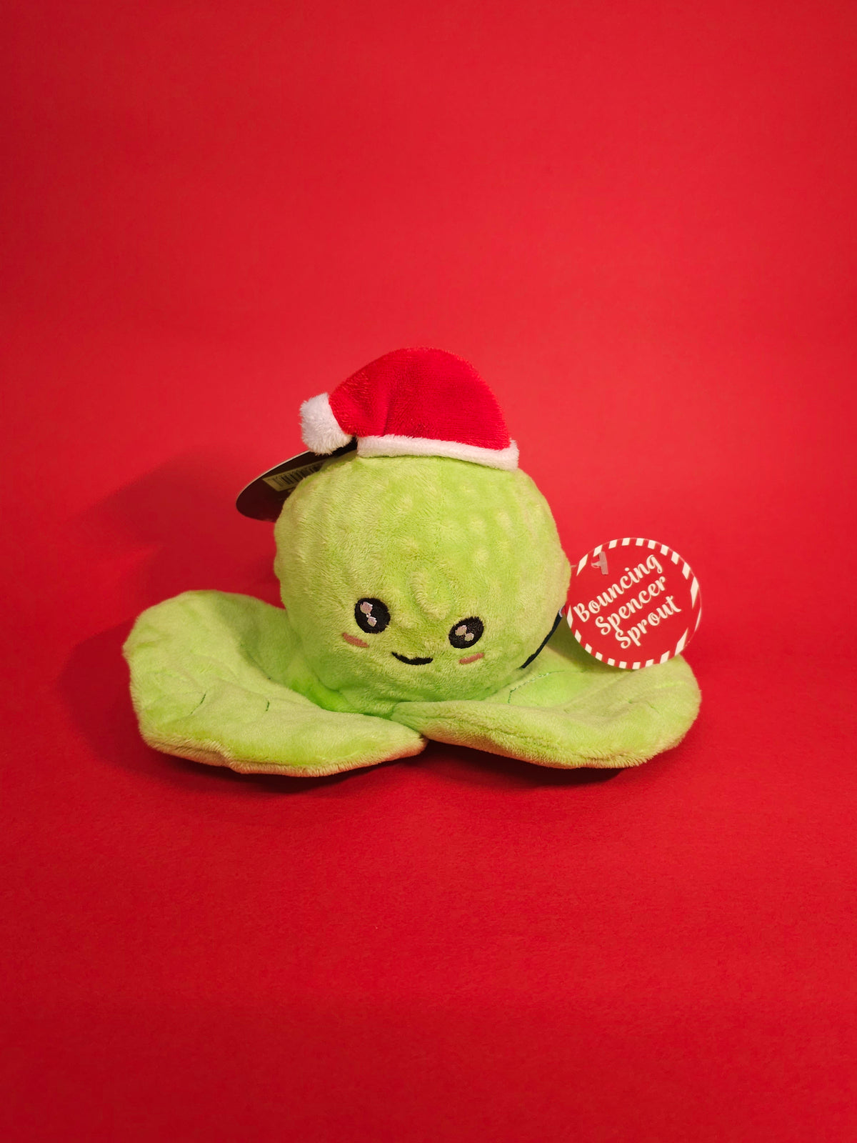 Ancol - Bouncing Brussel Sprout Toy