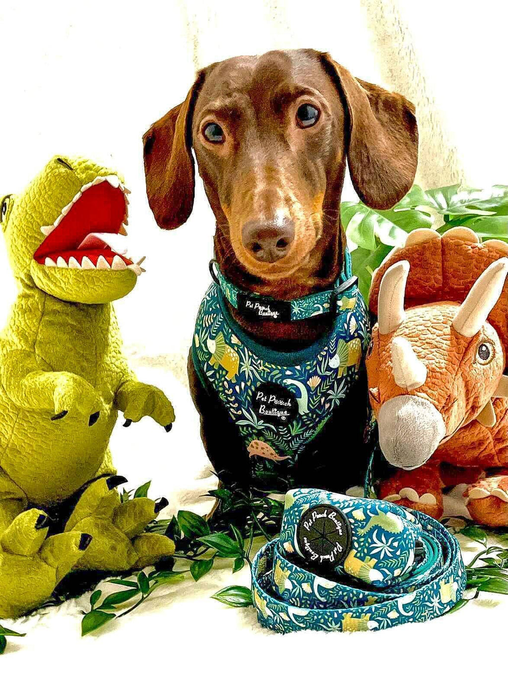 Dino Rawr Dinosaur Dog Puppy Harness