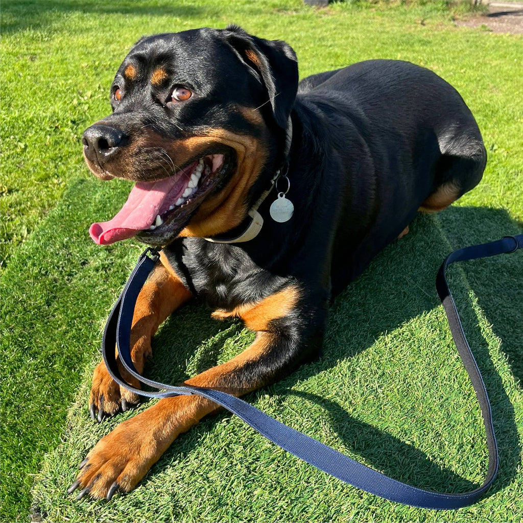 HugglePets Tactical K9 Endurance Dog Lead