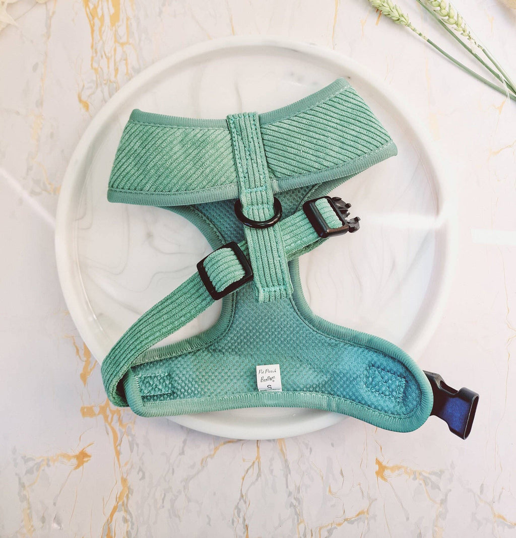 Sage Green Cord Puppy Harness