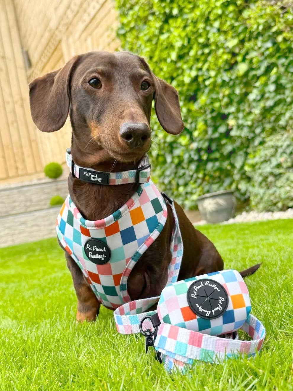 Chunky Check Puppy Dog Harness
