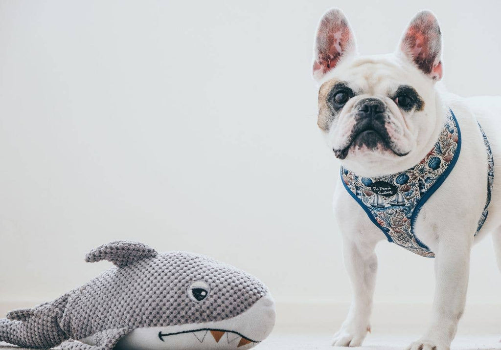 Shipwrecked Nautical Puppy Dog Harness