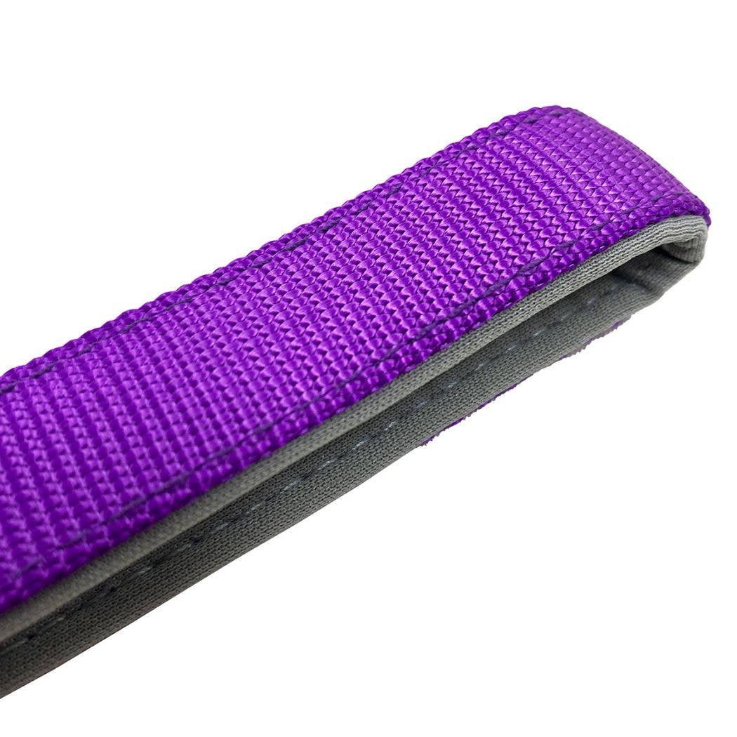 HugglePets Padded Nylon Dog Lead