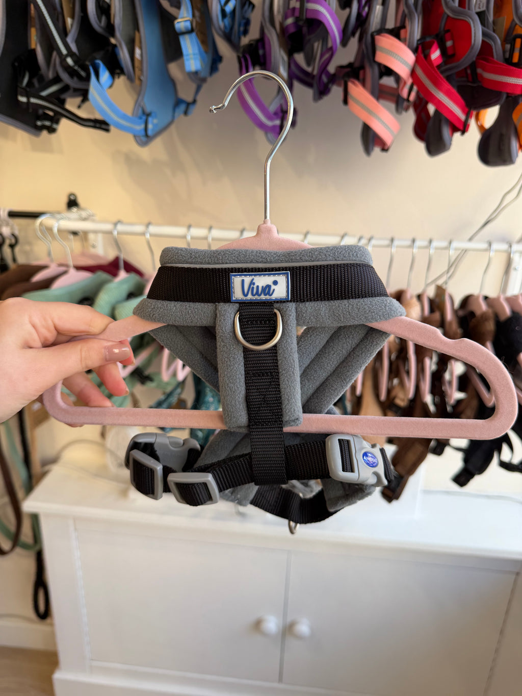 Padded Harness