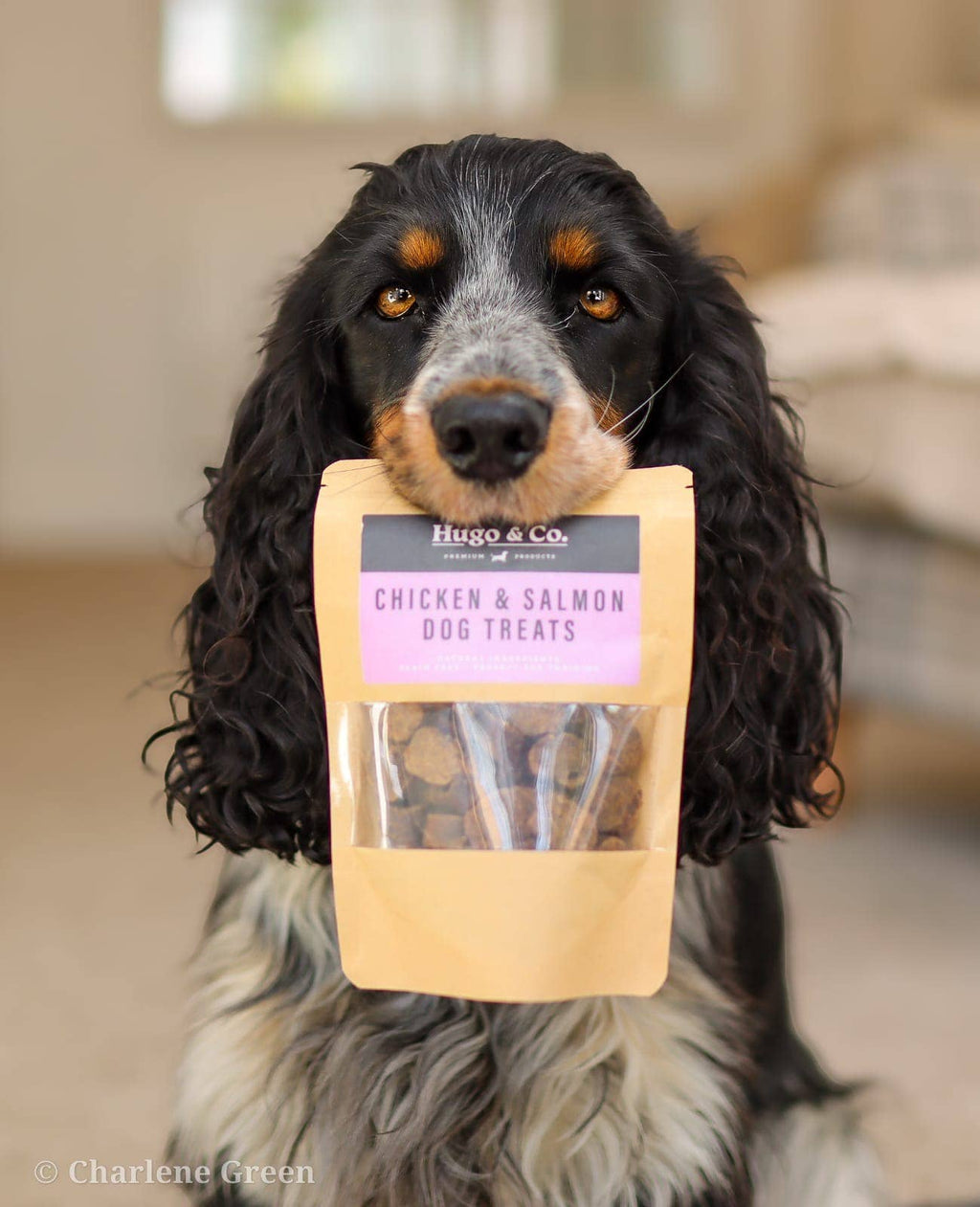 Hugo & Co - Salmon & Chicken Dog Treats - 75g