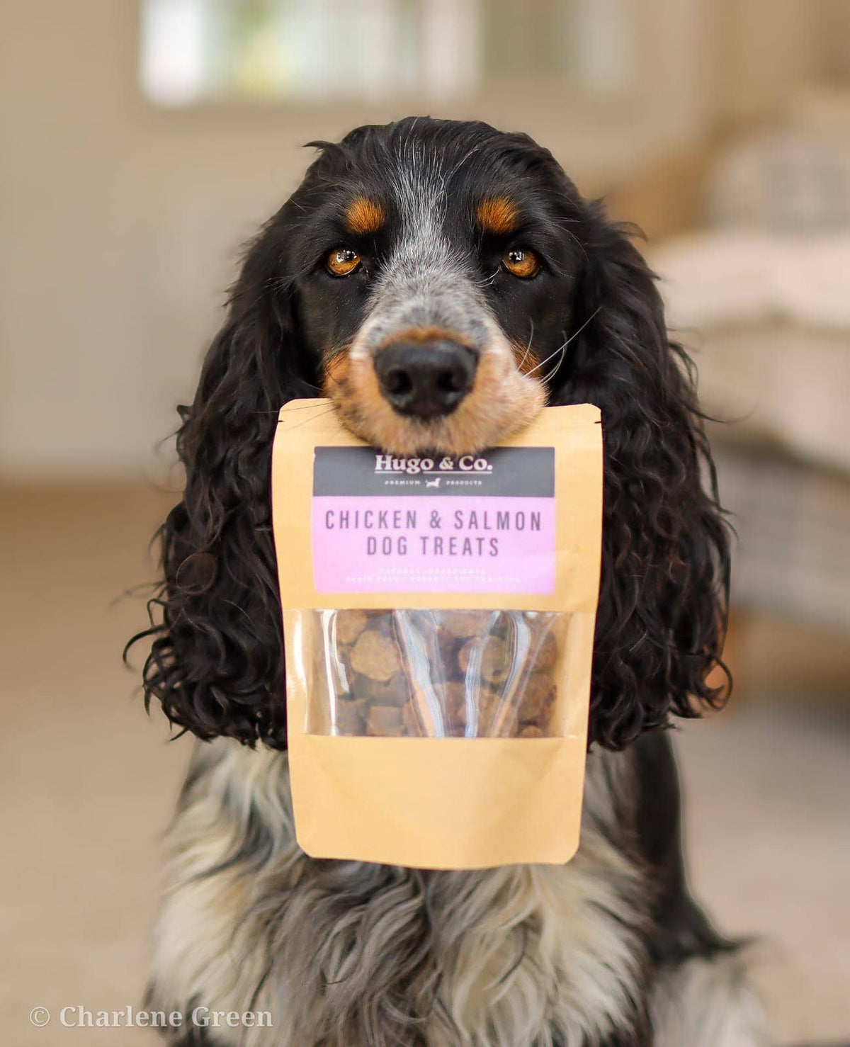Hugo & Co - Salmon & Chicken Dog Treats - 75g