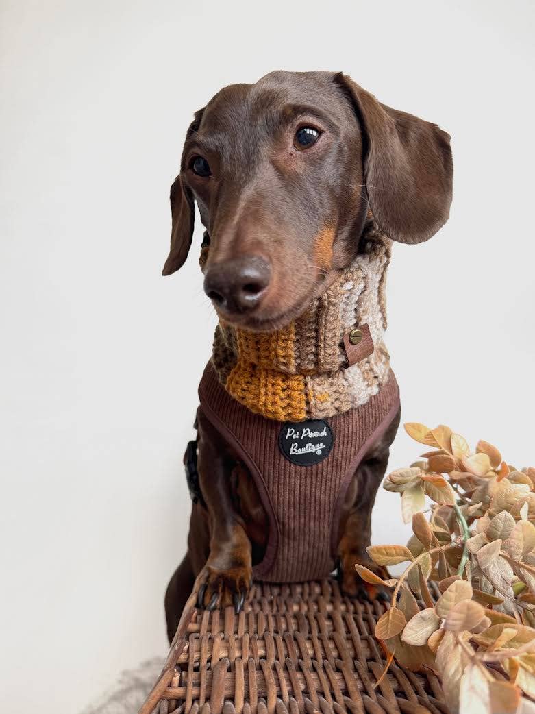Coffee Bean Cord Puppy Dog Harness