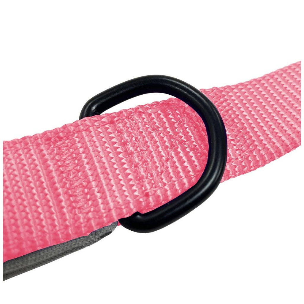HugglePets Padded Nylon Dog Lead