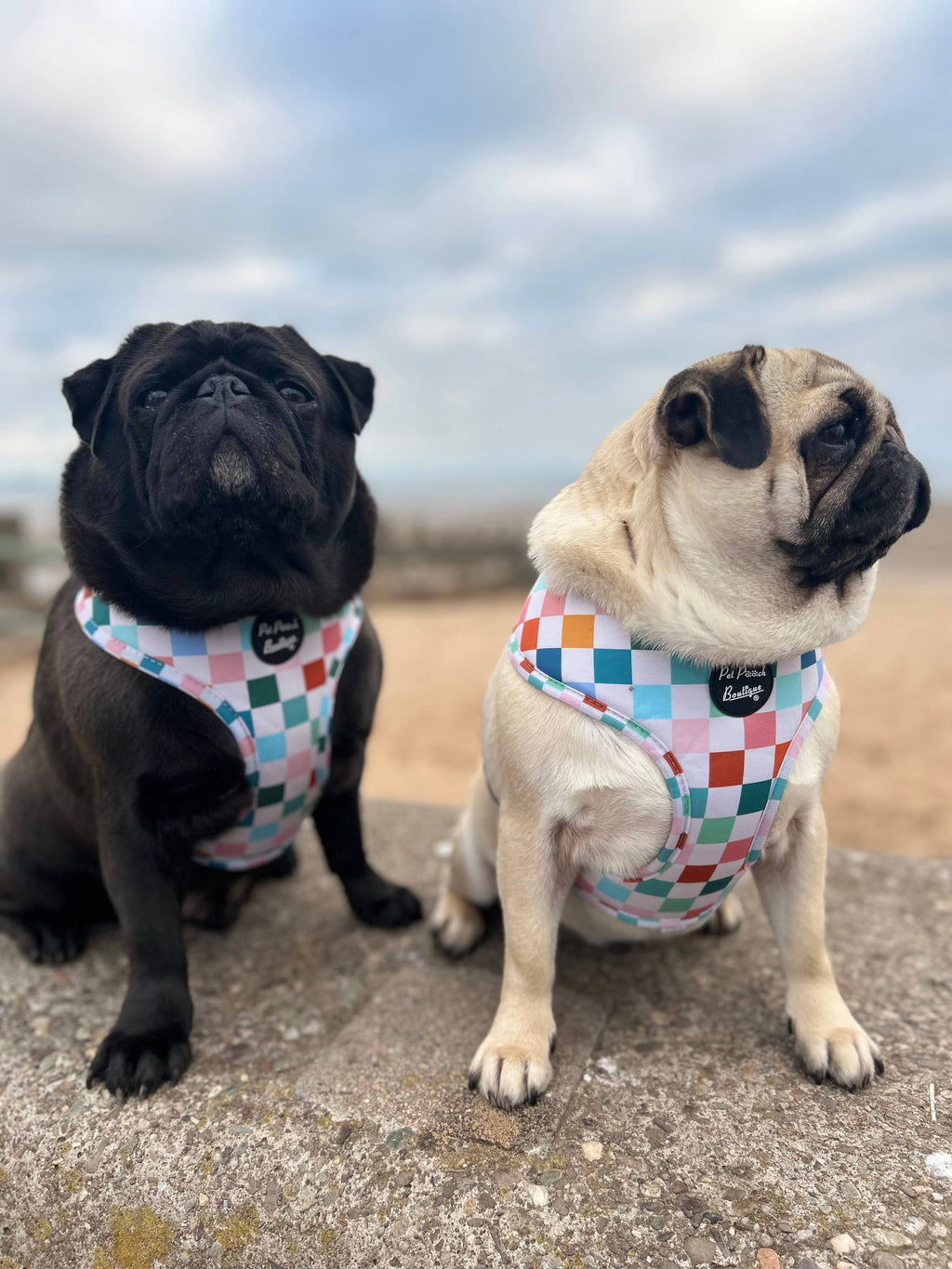 Chunky Check Puppy Dog Harness