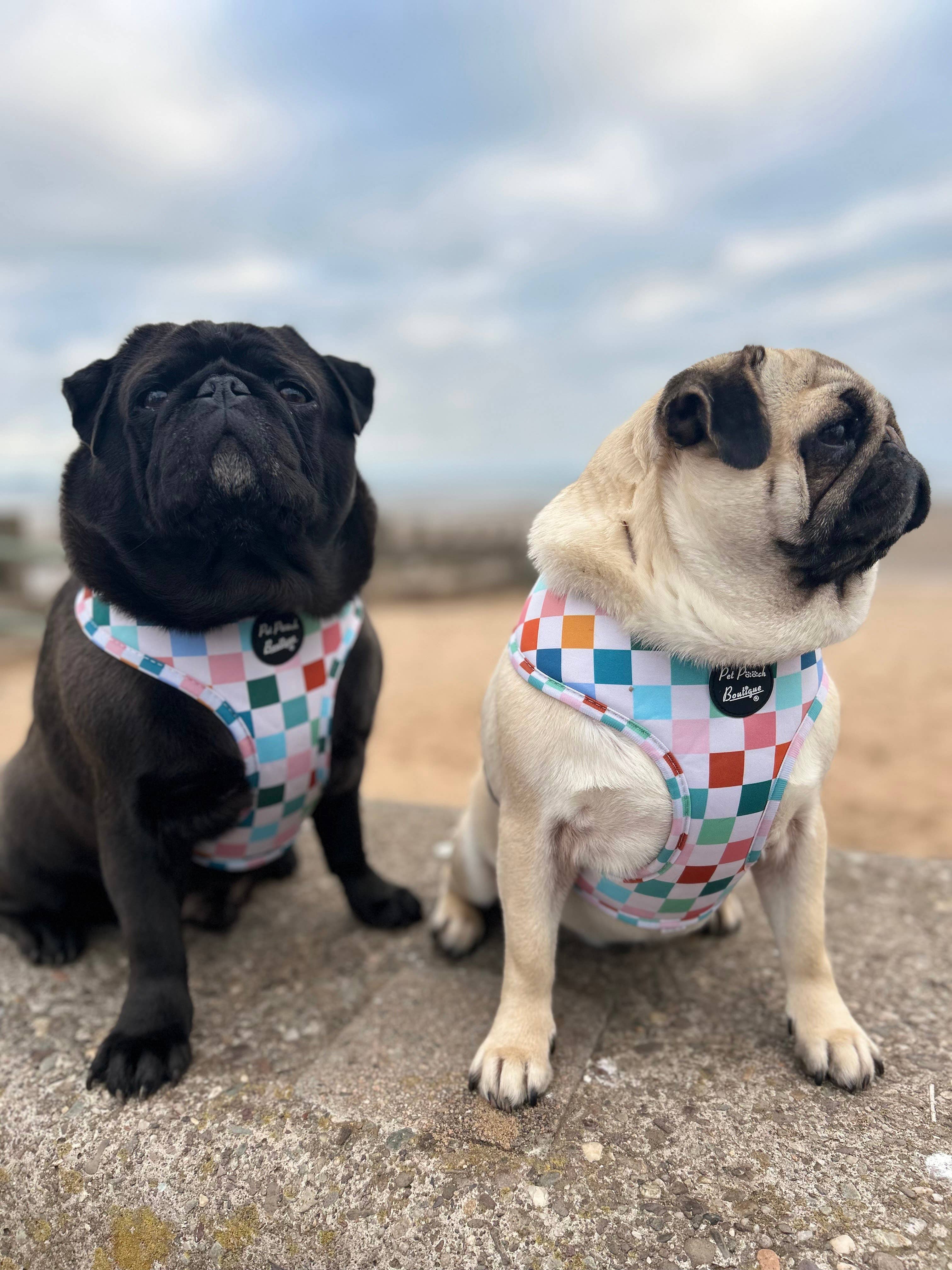 Chunky Check Puppy Dog Harness
