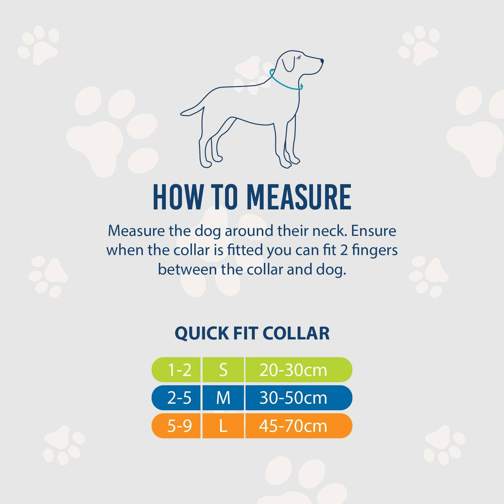 Soho Counting Sheep Dog Collar With Recycled Webbing