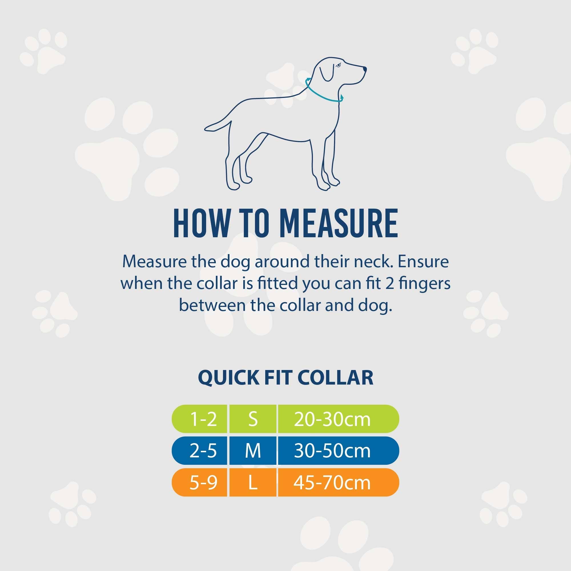 Soho Counting Sheep Dog Collar With Recycled Webbing