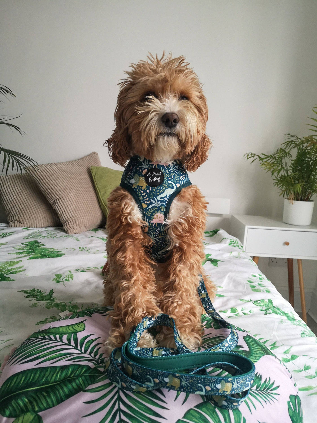 Dino Rawr Dinosaur Dog Puppy Harness
