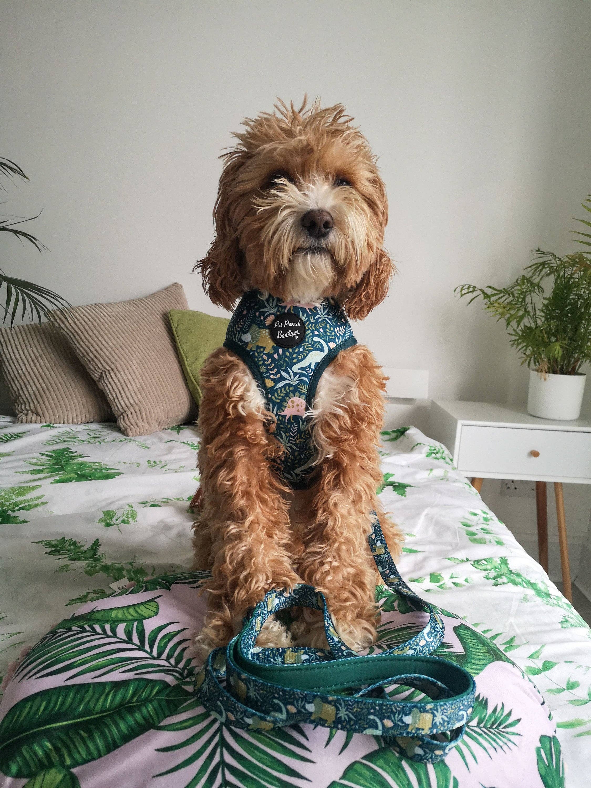 Dino Rawr Dinosaur Dog Puppy Harness