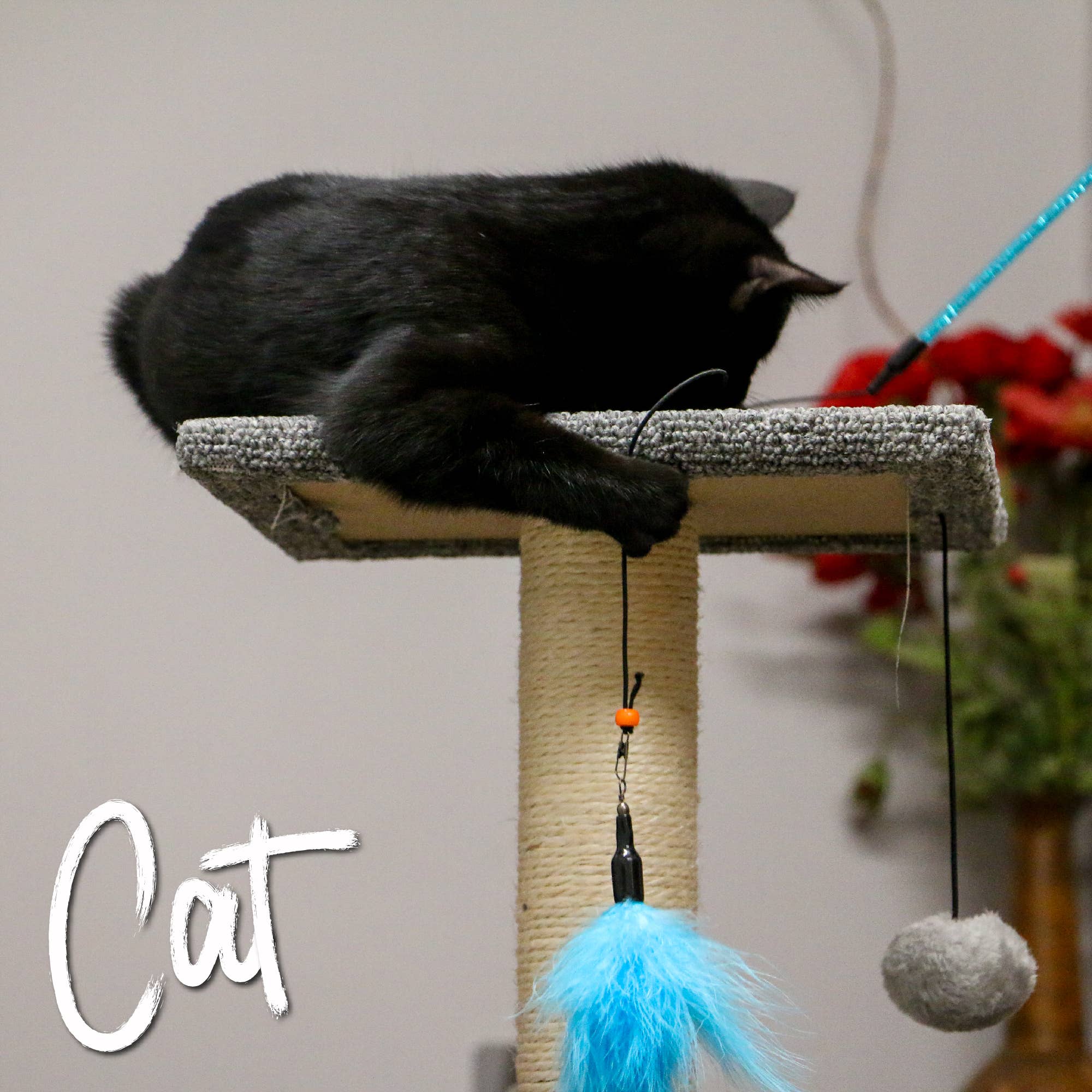 Ancol Feather Bell Cat Dangler Toy