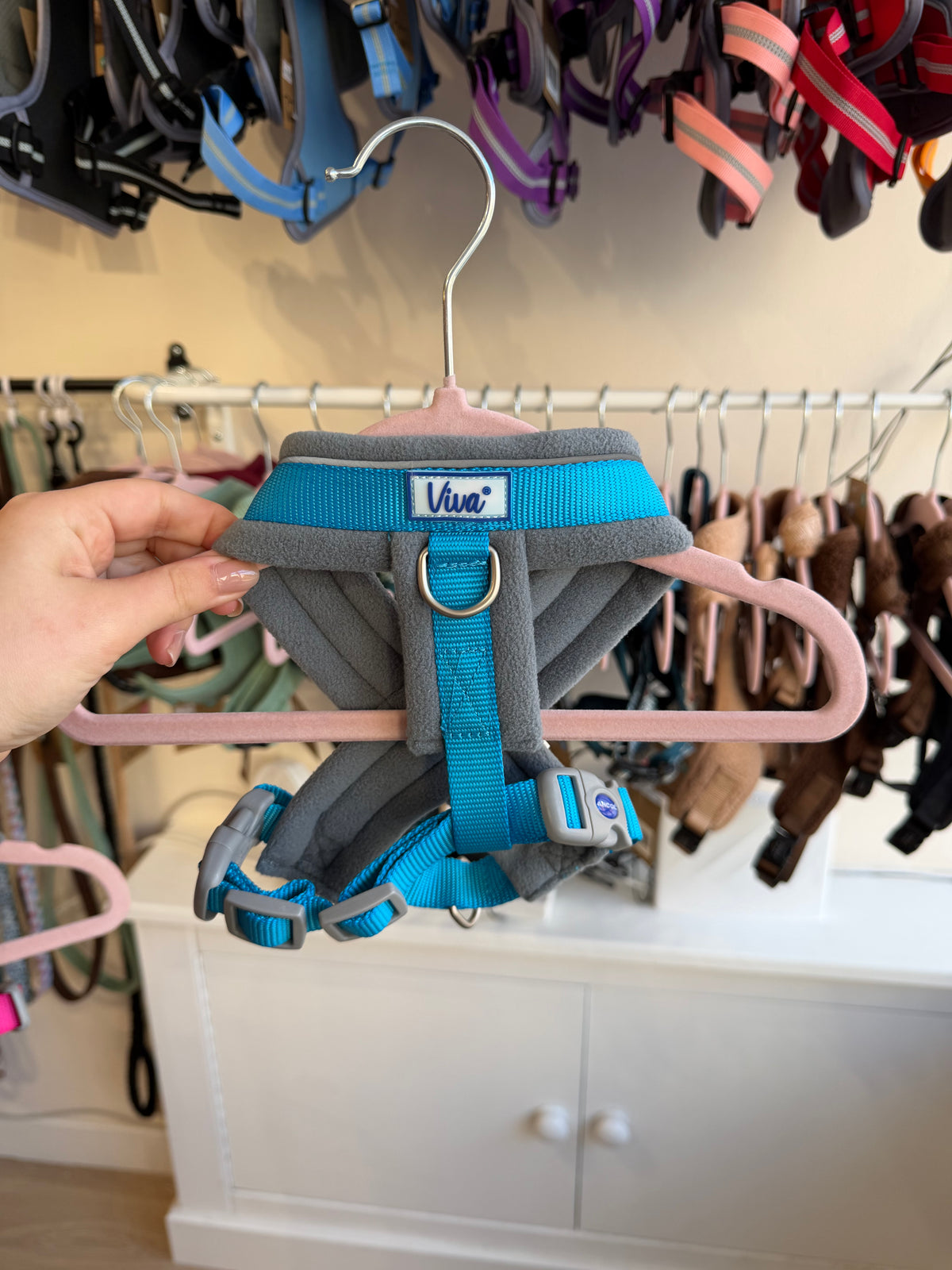 Padded Harness
