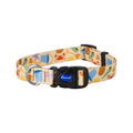 Soho Bucket & Spade Pattern Dog Collar