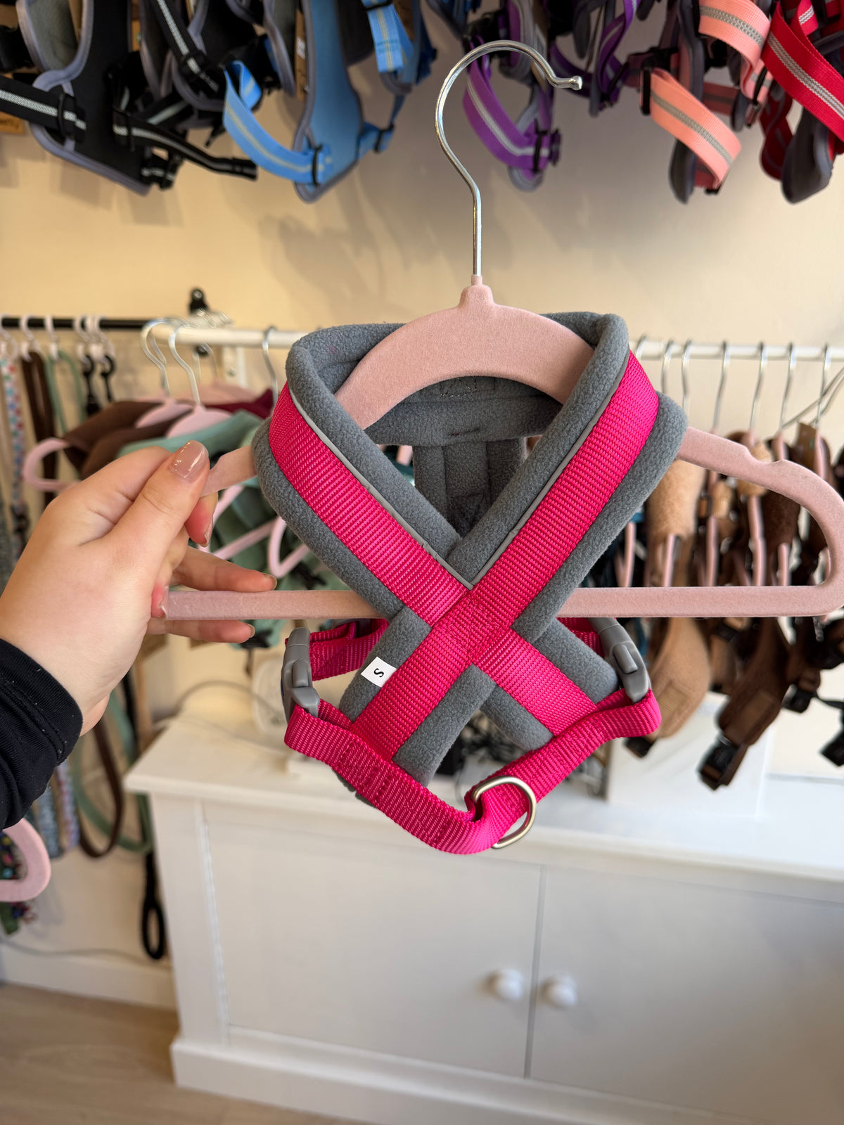 Padded Harness