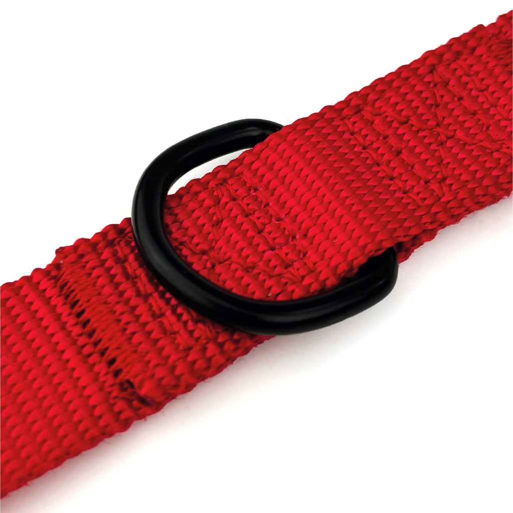 HugglePets 10 In 1 Training Dog Lead