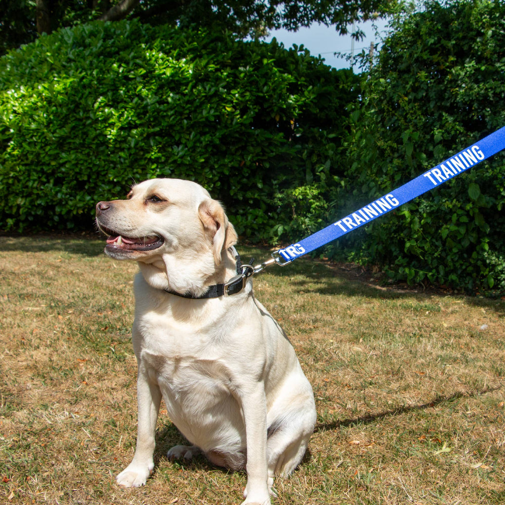 Awareness Training & Safety Dog leads 1.5m