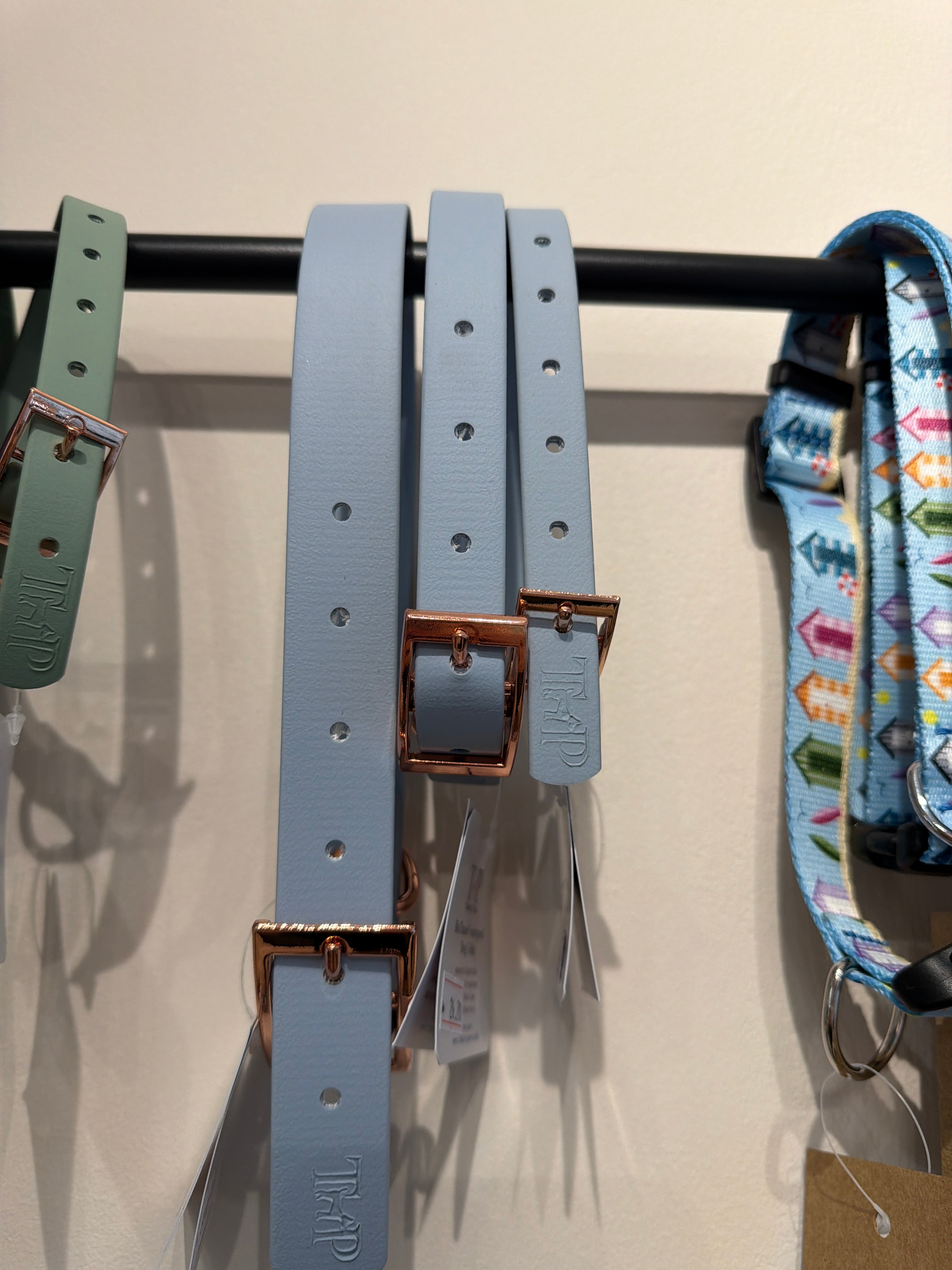 Trinkety Paws Baby Blue Biothane Waterproof Collar