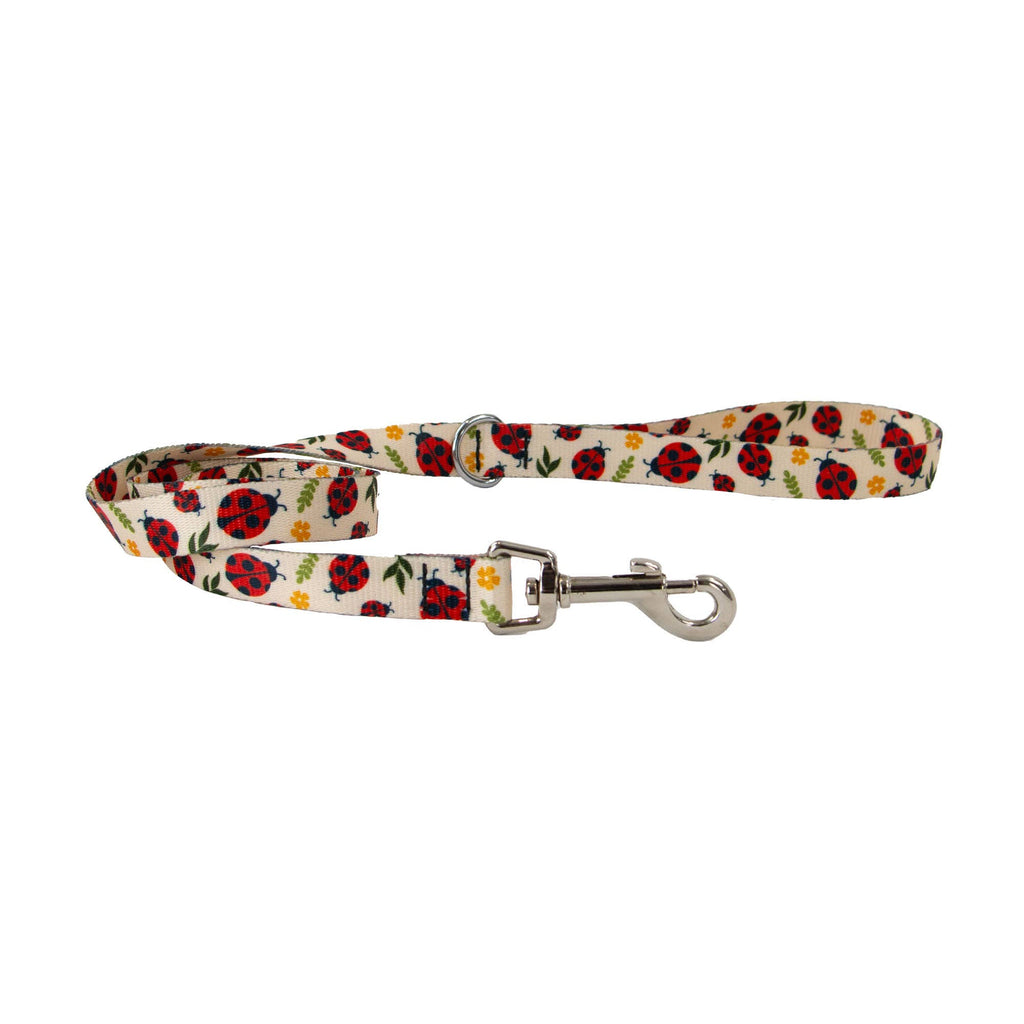 Soho Ladybird Lead with Recycled Webbing 1m x 19mm