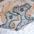 Shipwrecked Nautical Puppy Dog Harness