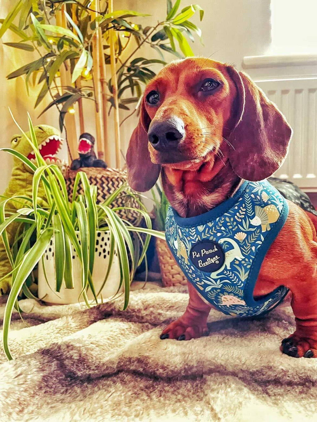 Dino Rawr Dinosaur Dog Puppy Harness