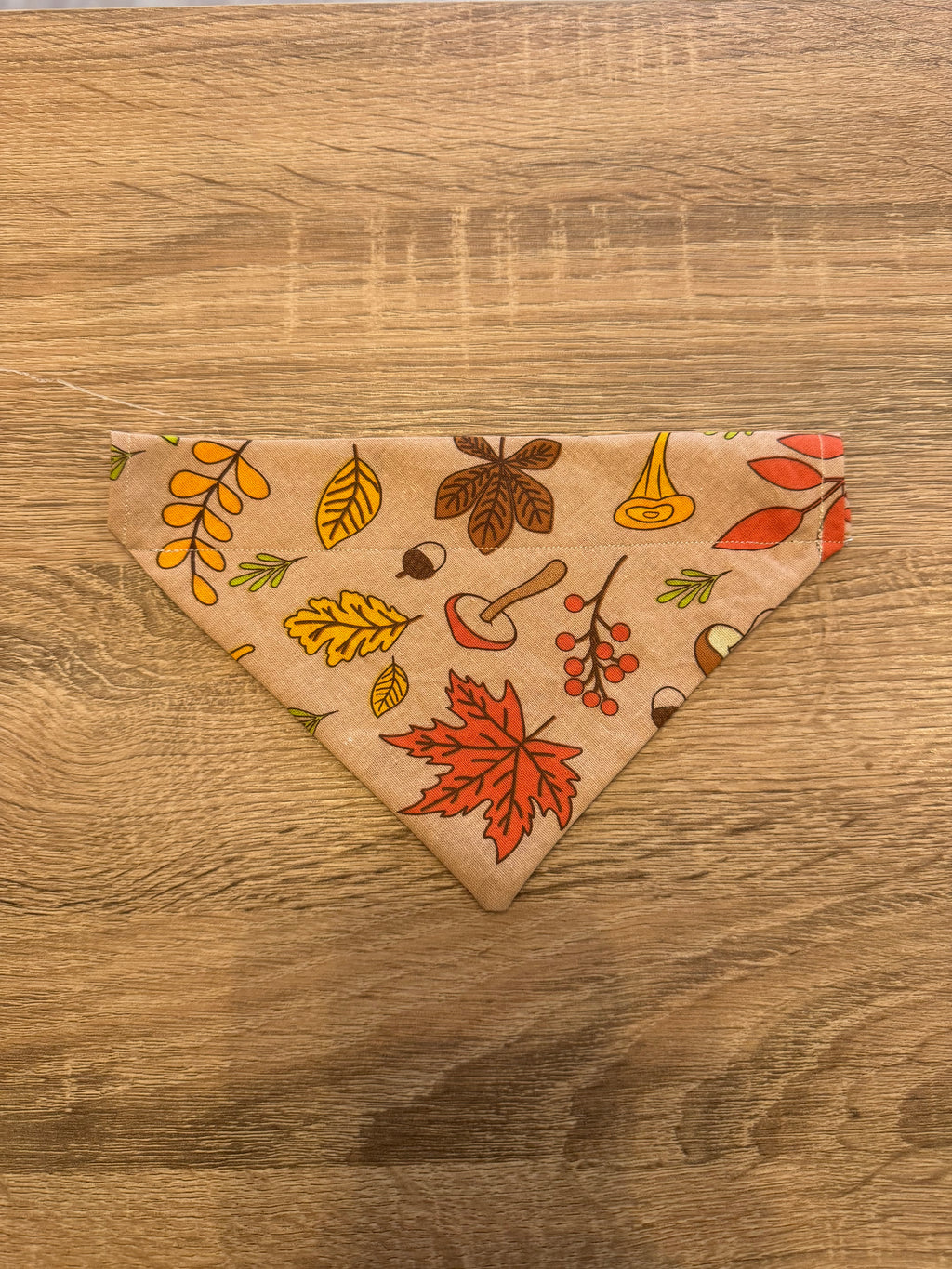 Beige Autumnal Bandana
