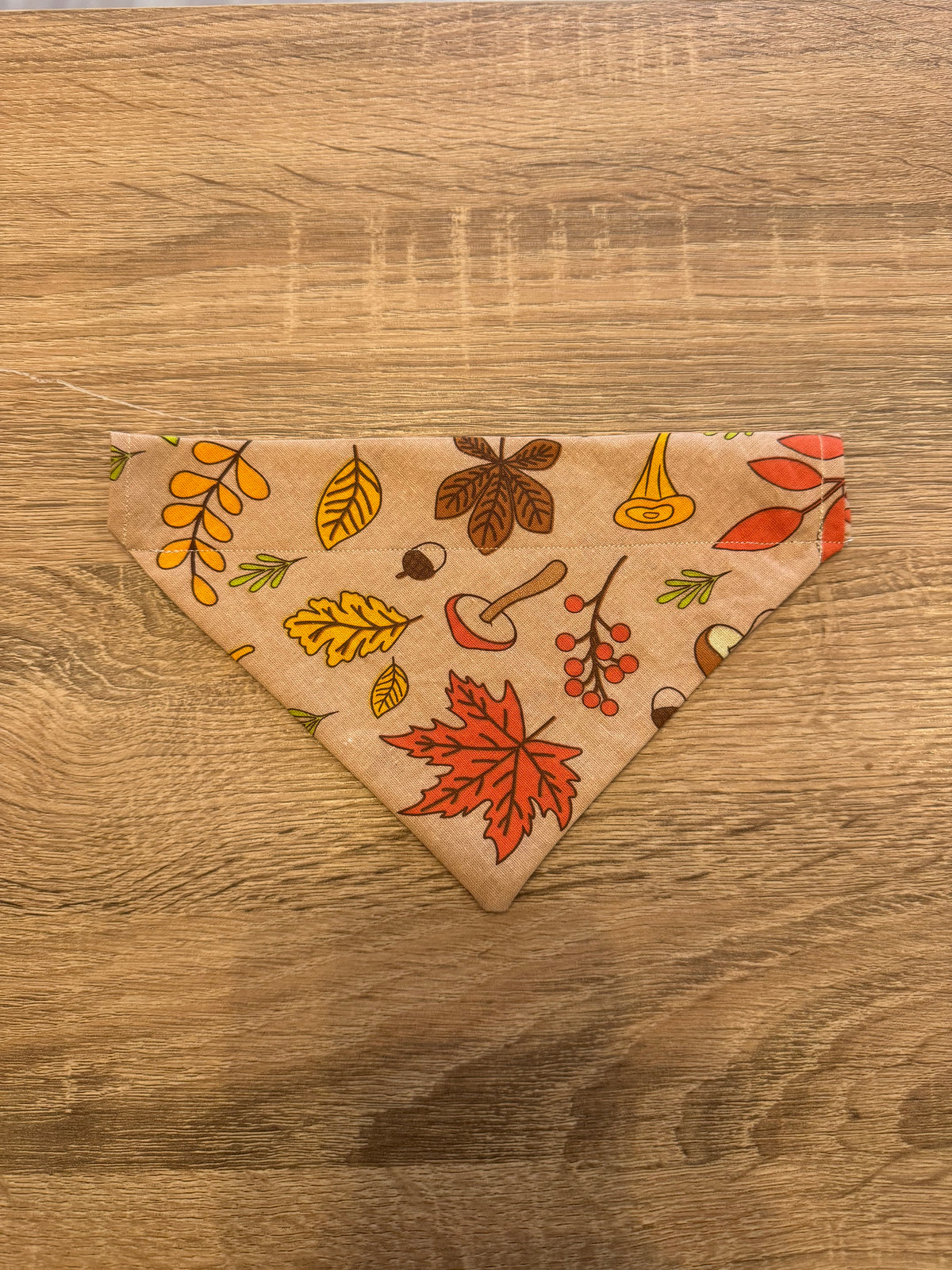 Beige Autumnal Bandana