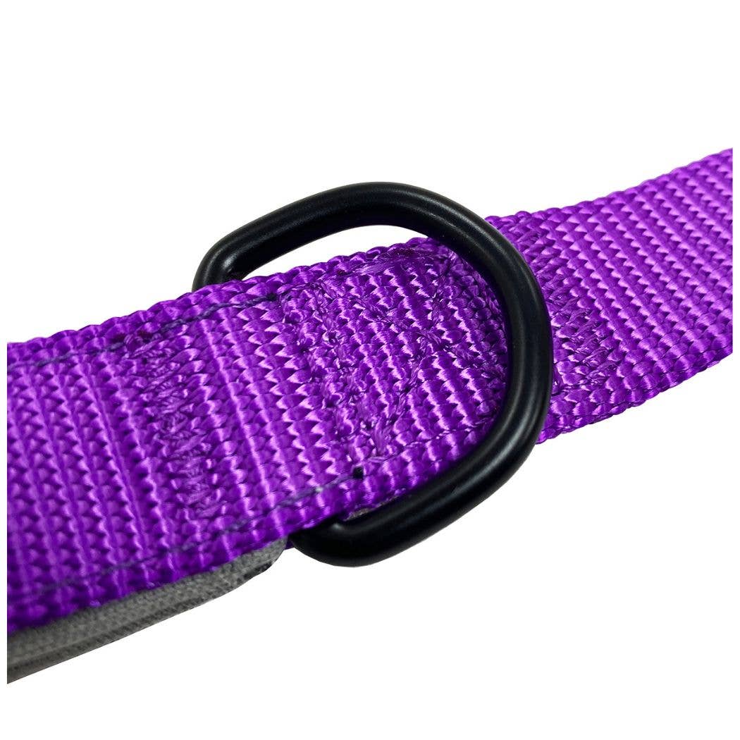 HugglePets Padded Nylon Dog Lead