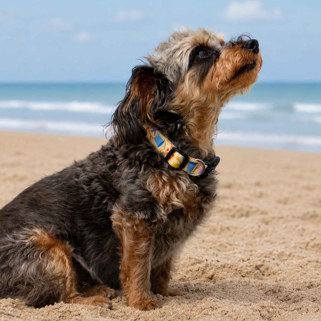 Soho Bucket & Spade Pattern Dog Collar