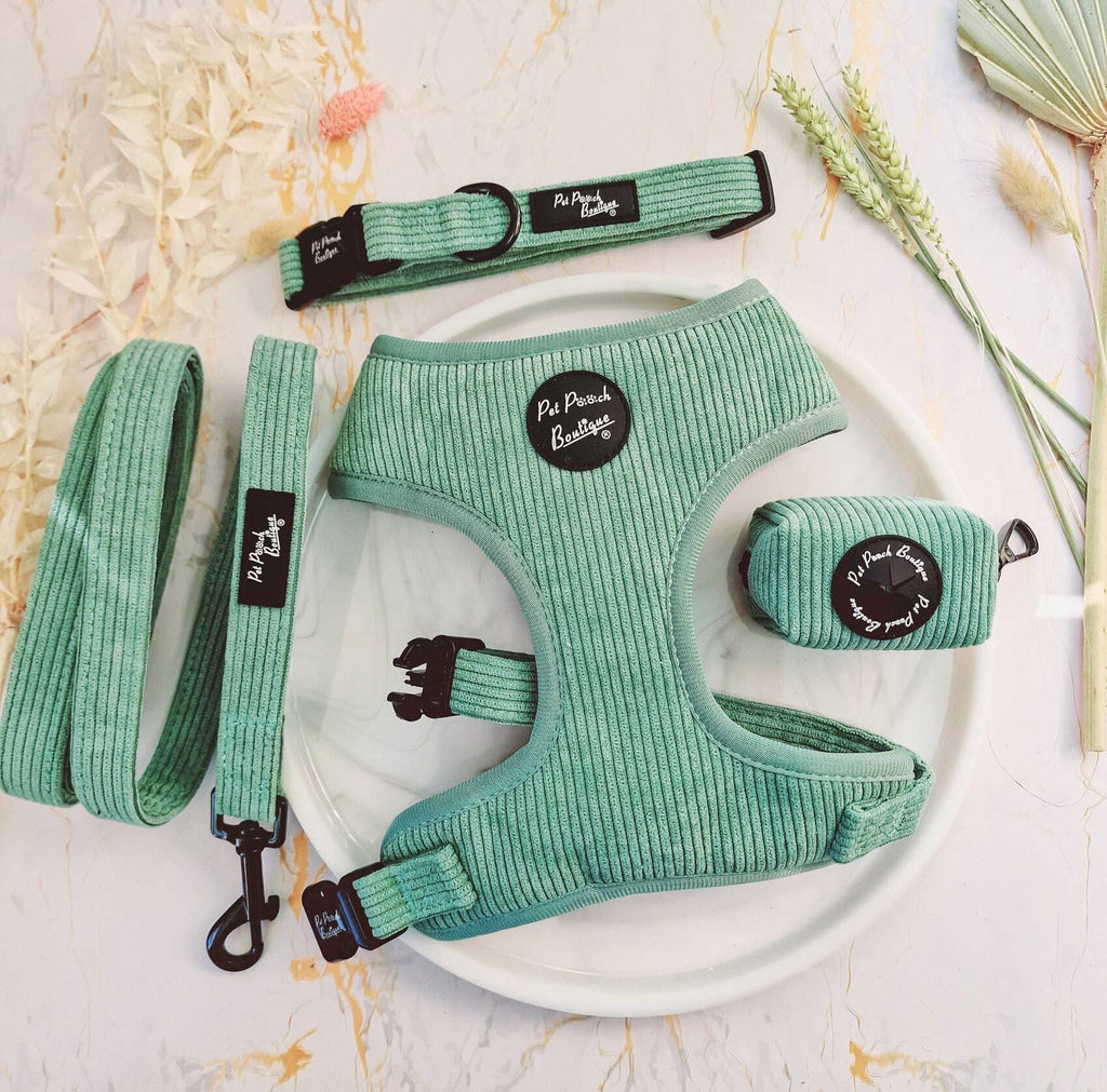 Sage Green Cord Puppy Harness
