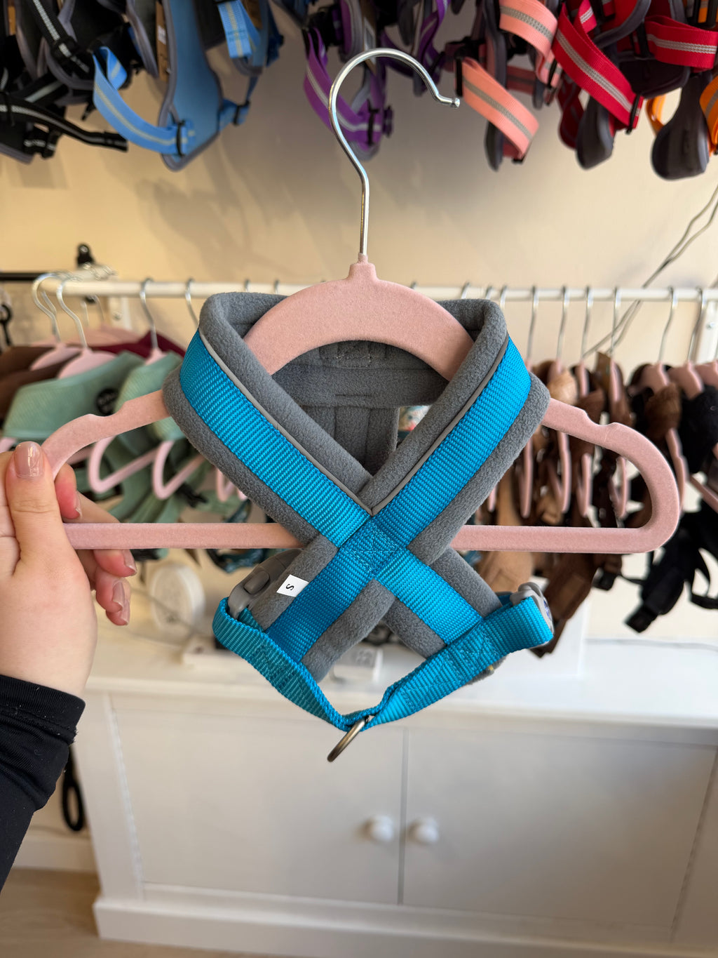 Padded Harness