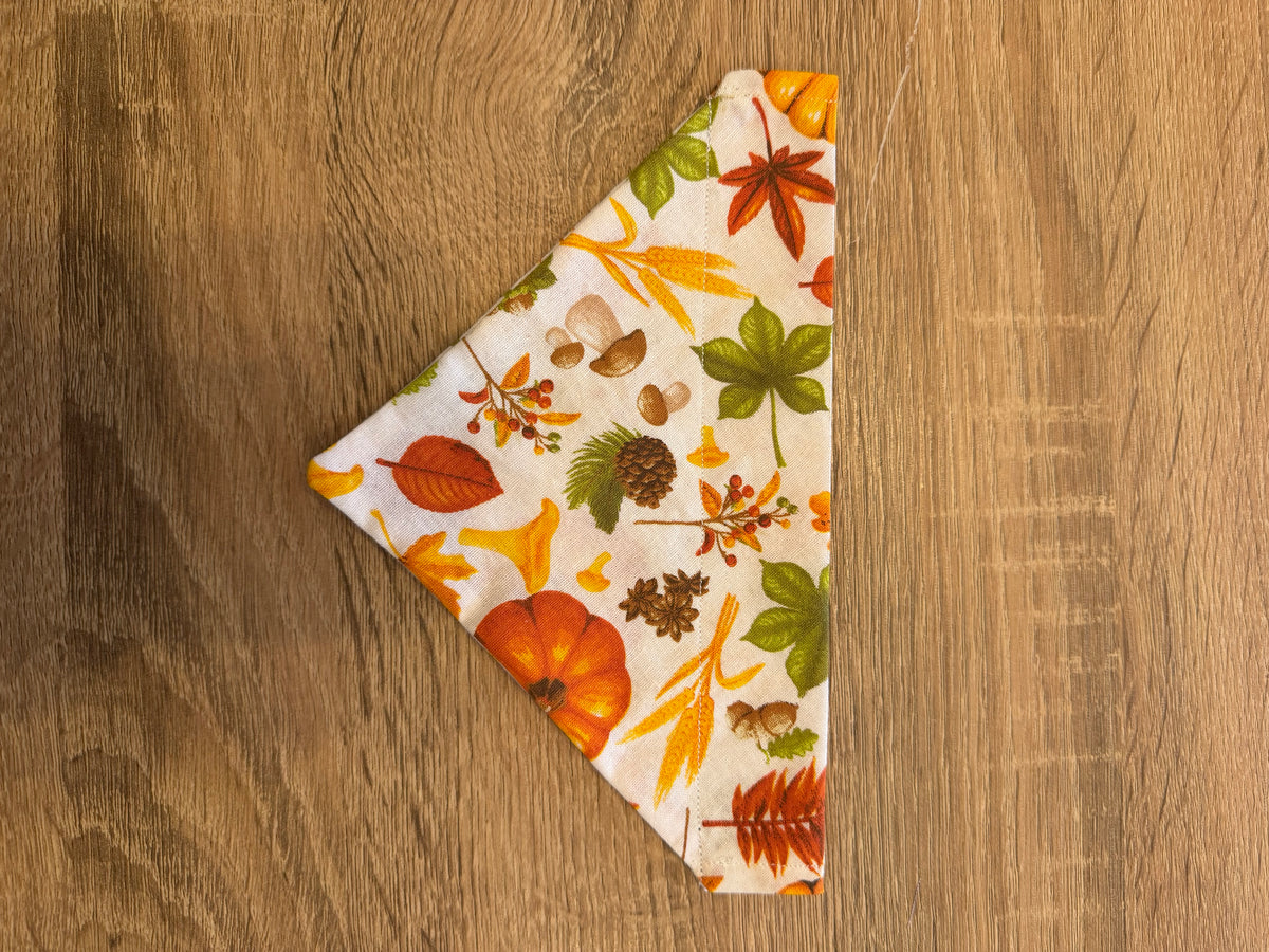 Pumpkin & Mushroom Bandana