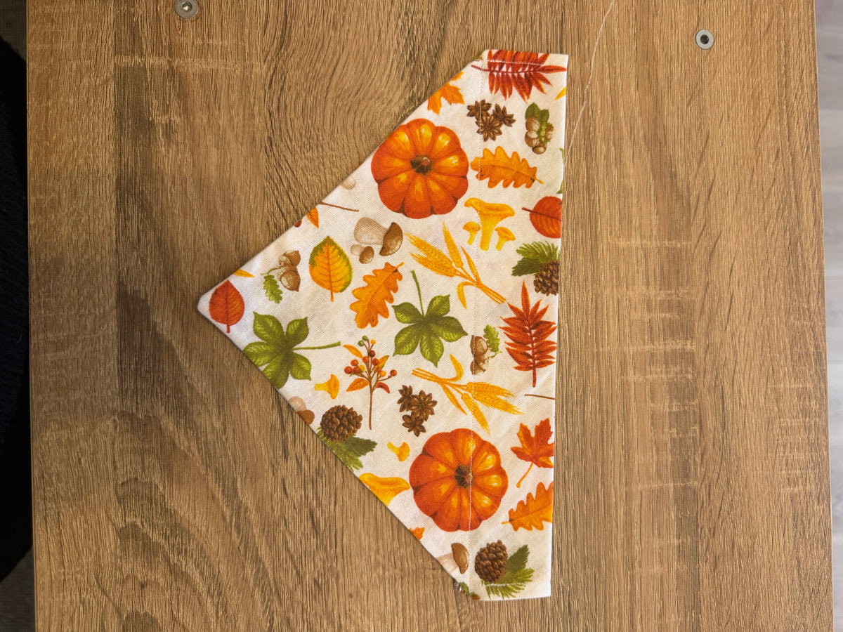 Pumpkin & Mushroom Bandana