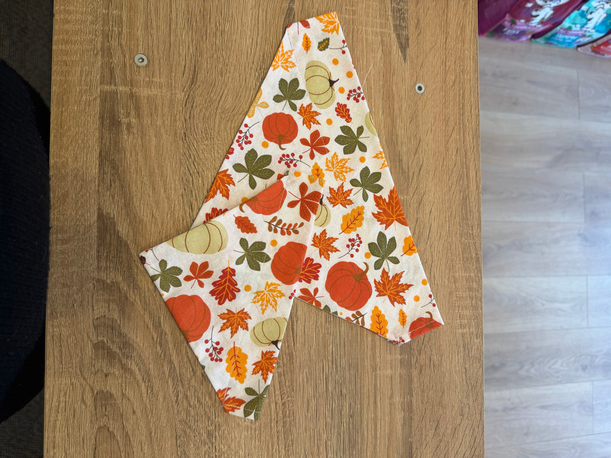 Pumpkin & Leaves Bandana