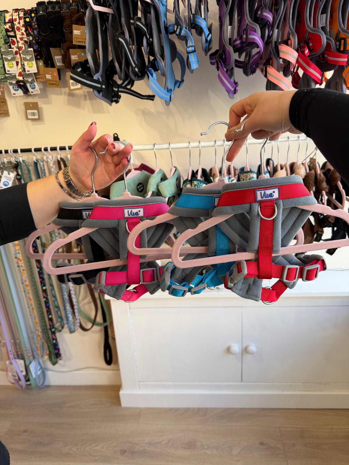 Padded Harness
