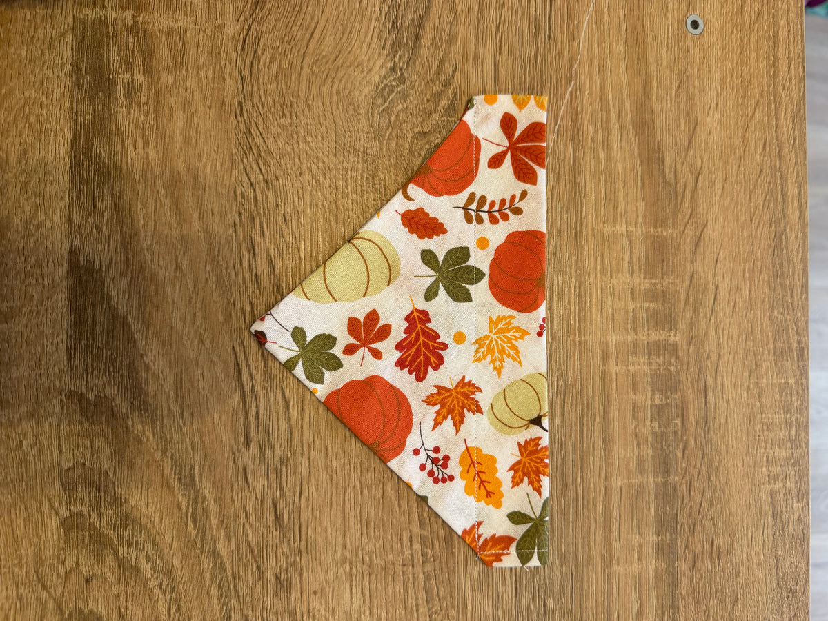 Pumpkin & Leaves Bandana