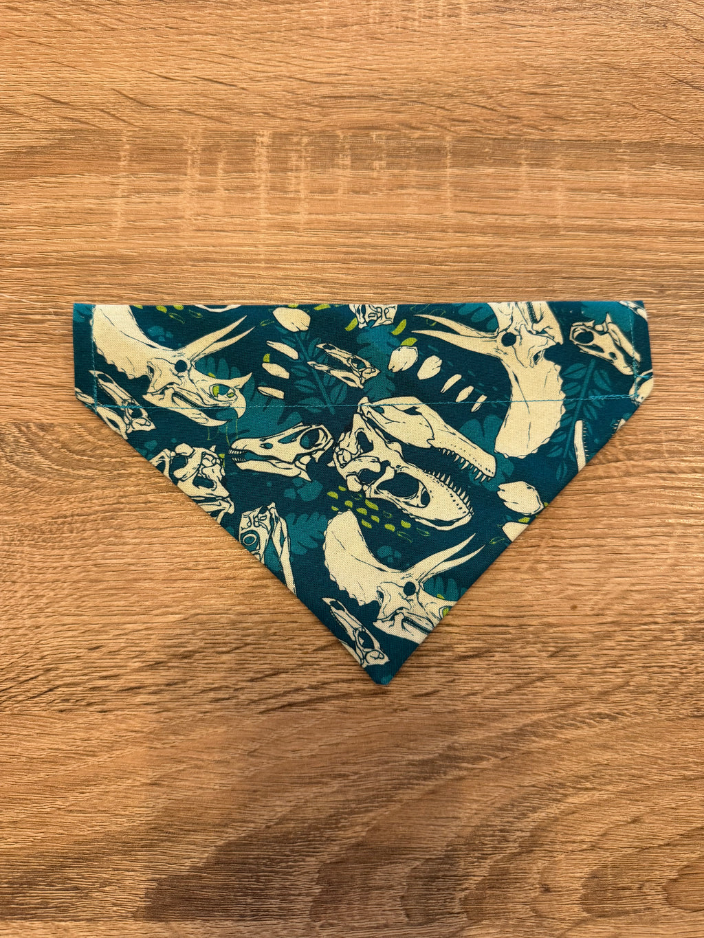 Dinosaur Skull Bandana